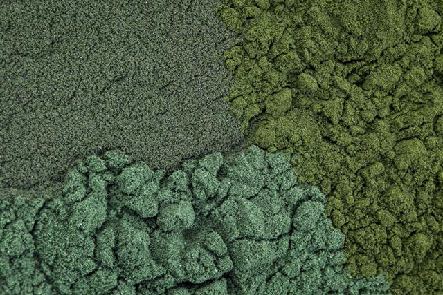 Chlorella, spirulina and blue-green algae