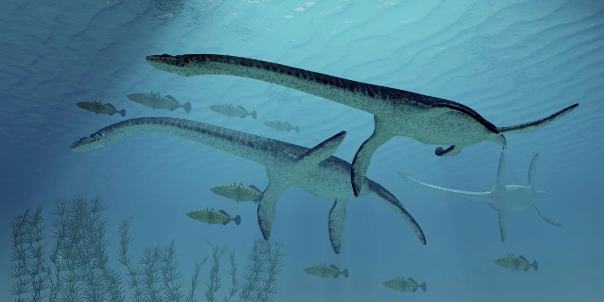 Plesiosaurus dolichodeirus, a long-necked aquatic reptile