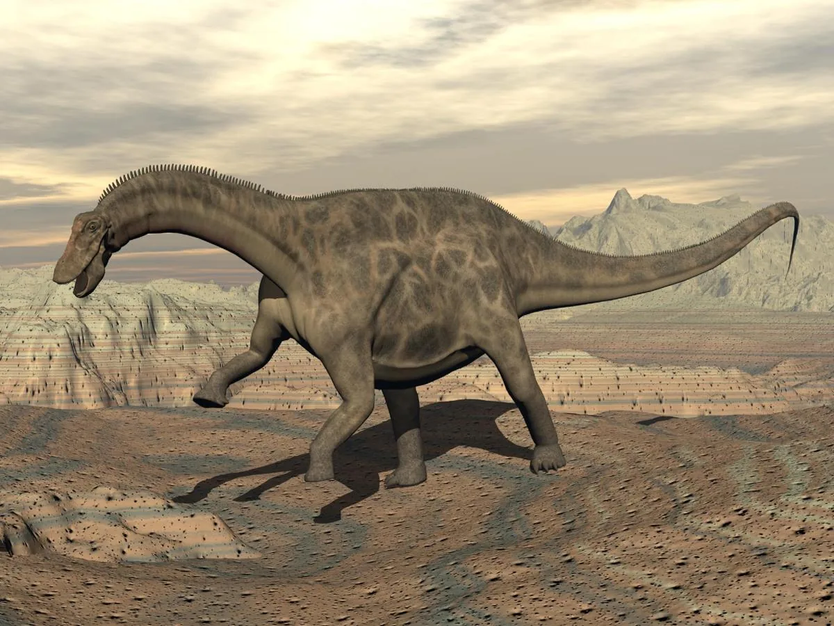 Dicraeosaurus hansemanni, a smaller sauropod from Africa