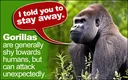 A Complete List of All Types of Monkeys