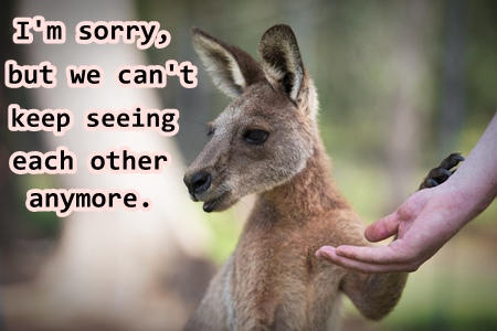 Heartbreaker kangaroo