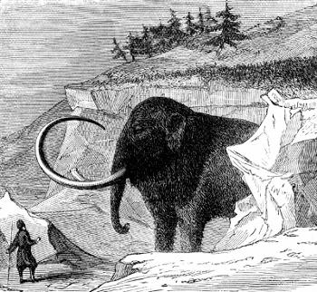 Woolly Mammoth illustration showing its thick coat and curved tusks