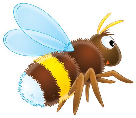 A bumblebee in flight, showing its furry round body