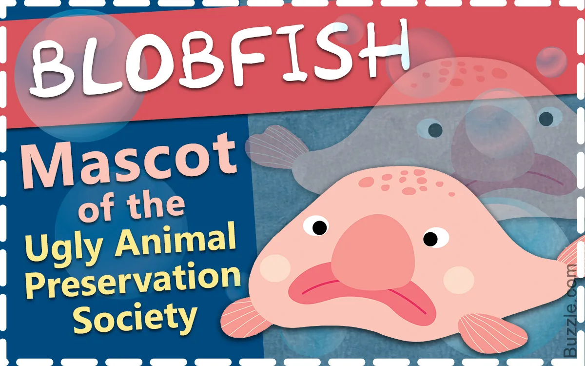 The blobfish looks like a regular fish in the deep sea.