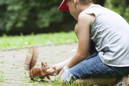 A child gently petting a rabbit, a symbol of kindness and compassion towards animals.