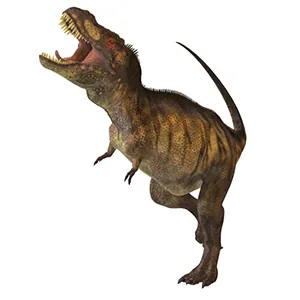 Tyrannosaurus Rex profile