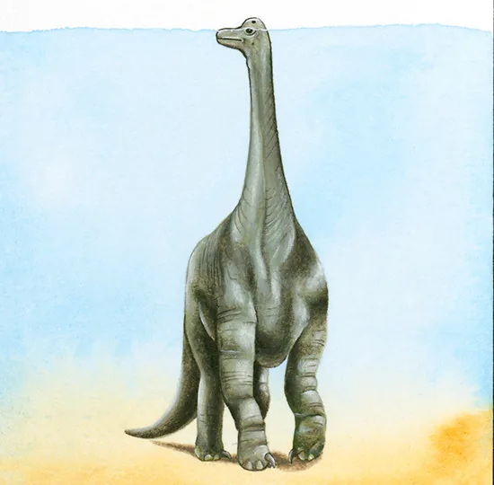 Barosaurus lentus, a very long slender sauropod closely related to Diplodocus