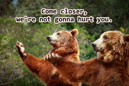 Naughty bears