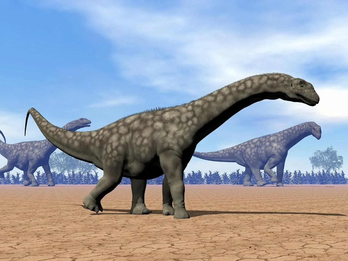 Argentinosaurus huinculensis, massive titanosaur sauropod from South America