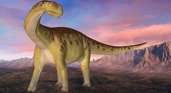 Camarasaurus supremus, the most common sauropod in North America
