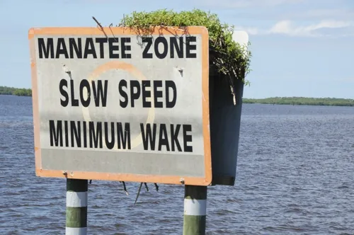 A boat-speed warning sign near manatee-inhabited waterways in Florida
