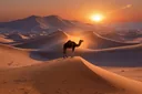 Adaptations in Desert Animals