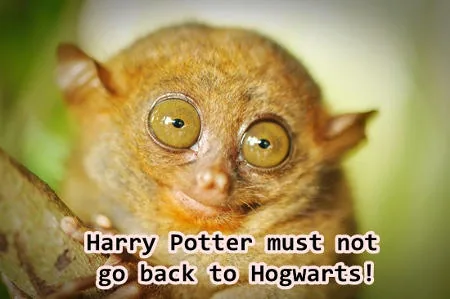 Scary tarsier