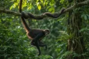 Animals With Prehensile Tails: Gripping Facts and Pictures