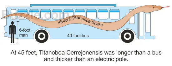Size comparison diagram showing Titanoboa next to a city bus and a human, illustrating the snake's 45-foot length