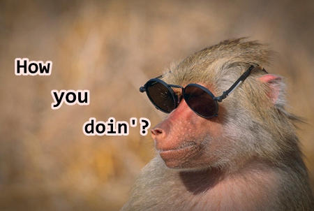 Flirtatious monkey