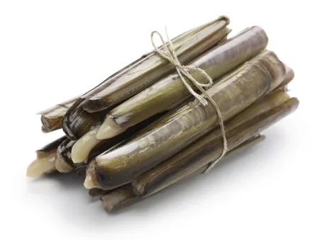 Razor Clams, long, narrow shells resembling a jackknife