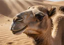 Unbelievably Amazing Examples of Animal Adaptations