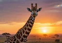 Stupefying Facts About Giraffes That Will Make You Gawk