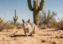 Sonoran Desert Animals, Complete List & Fascinating Facts
