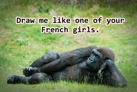 Sassy gorilla