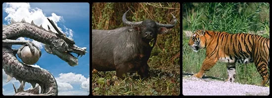 Dragon, water buffalo and tiger of Vietnam