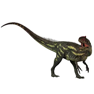 Allosaurus fragilis profile
