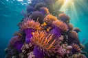 Fascinating Facts About Sea Anemones You Never Knew