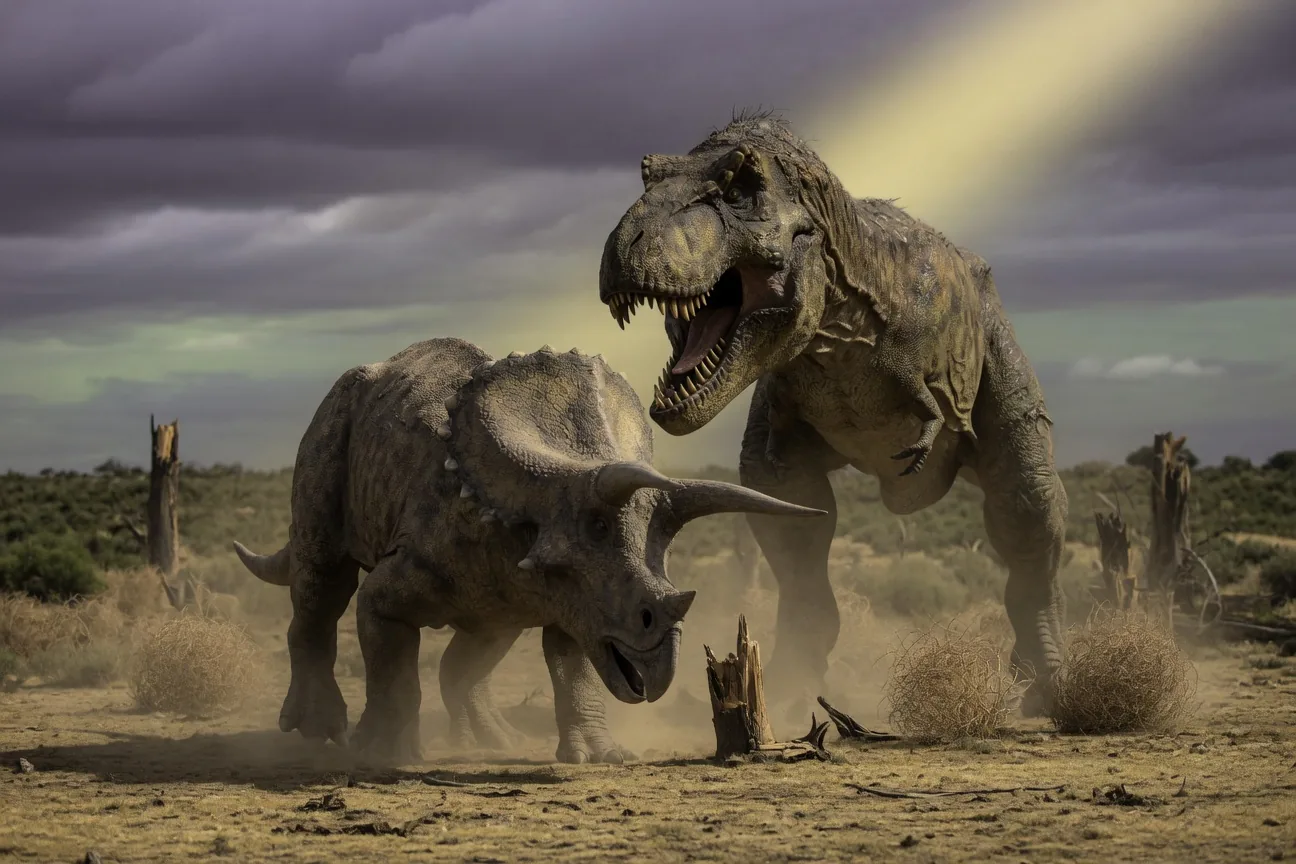 Triceratops facing off against a Tyrannosaurus rex in a dramatic Late Cretaceous standoff, horns lowered in defense