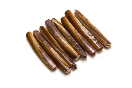 Pacific Razor Clam, oblong shell on wet sand