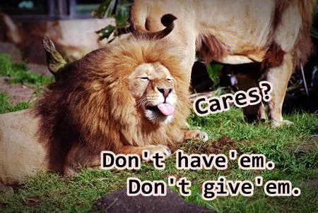 Uncaring lion