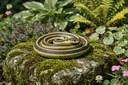 What Do Garden Snakes Eat? It's Not What You Imagined