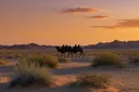 Animals of the Gobi Desert