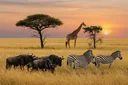 Grassland Animals