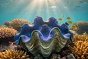 Interesting Facts About the Giant Clam