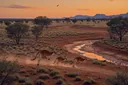 Mesmerizing Facts About the Australian Wildlife
