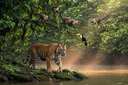 Jungle Animals List