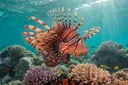 Unbelievably Fascinating Facts About Lionfish