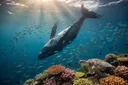 Marine Animals: The Complete Guide to Ocean Life