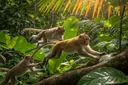 Monkey Habitat: Where Do Monkeys Live?