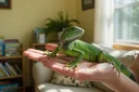 Pros and Cons of Keeping Wild Animals as Pets
