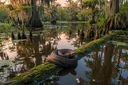 45 Snake Species That are Found in Louisiana