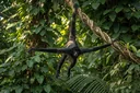 Staggering Facts About Spider Monkeys You'd Never Believe