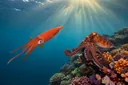 Squid vs. Octopus: What's the Difference?