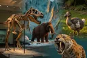Top 10 Extinct Animals