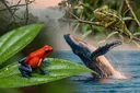 Incredibly Unusual Animal Facts You'll Be Surprised By