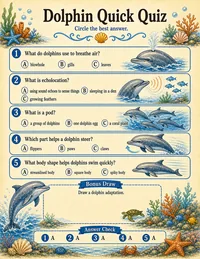 Dolphin quick quiz