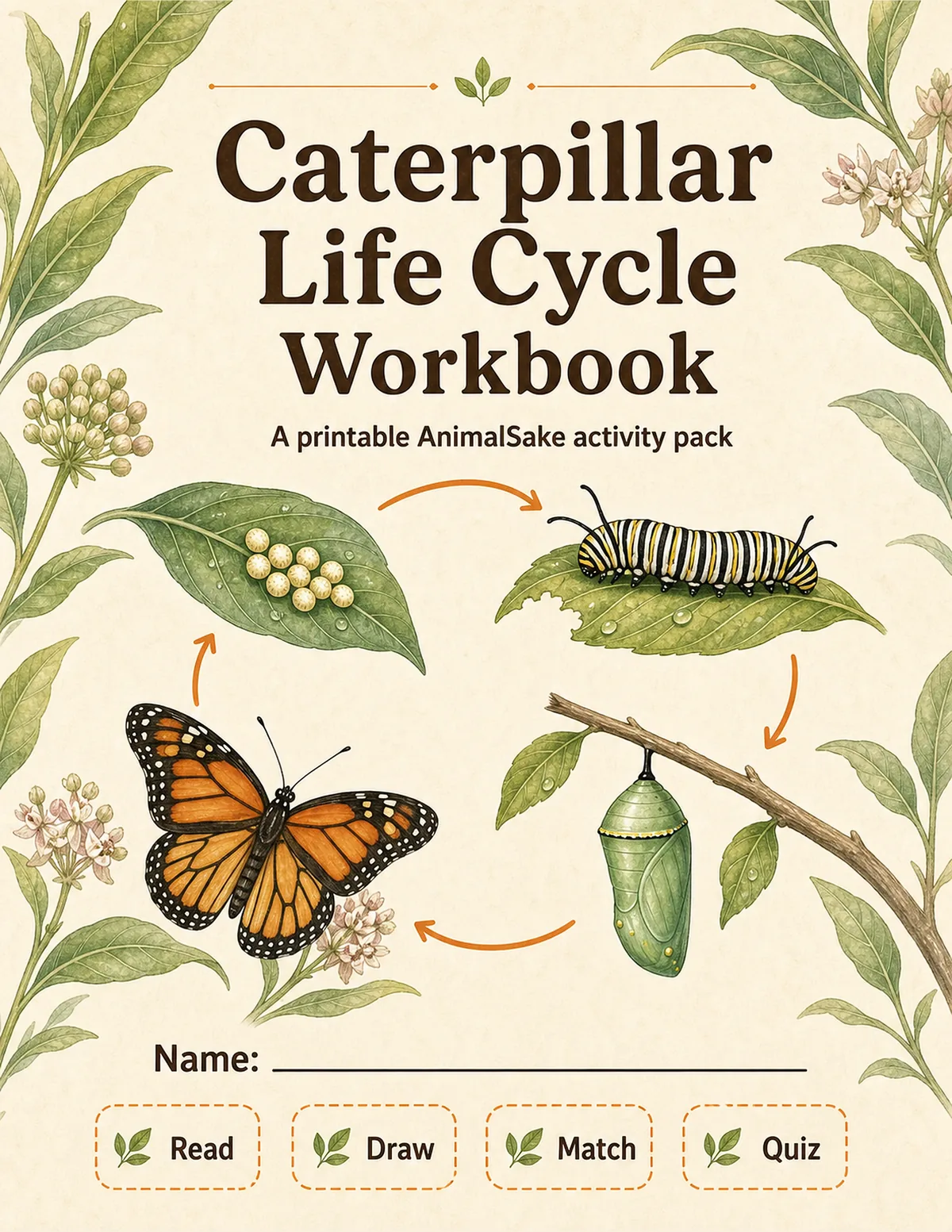 Caterpillar Life Cycle printable workbook cover for kids