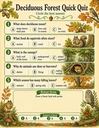 Deciduous forest quick quiz