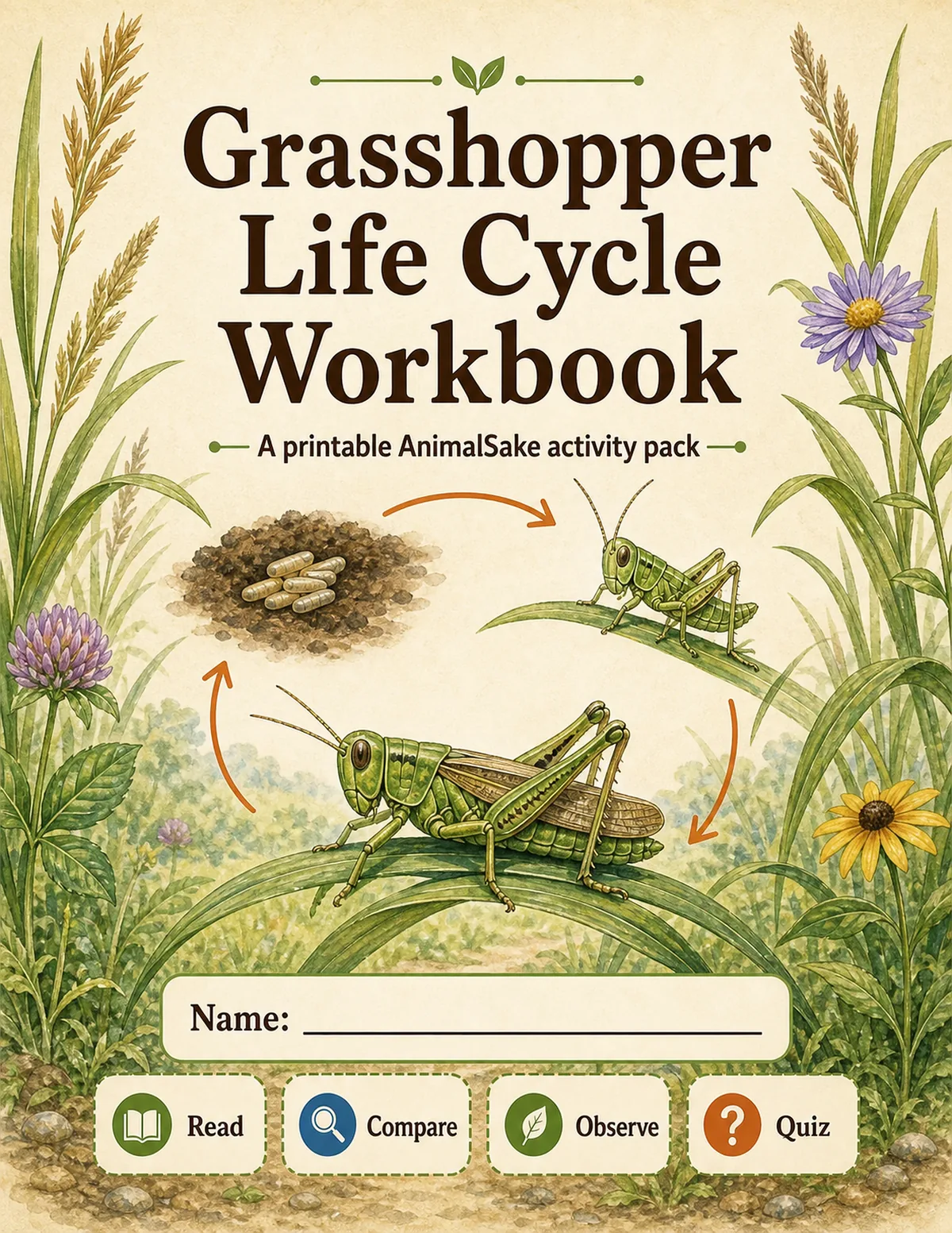 Grasshopper Life Cycle printable workbook cover for kids